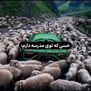 چرا مدرسه رو دوست نداری؟ برا این که چند تا گوسفند درو من جمع شده 