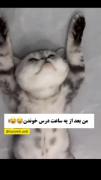 بعداز یک ساعت ‌‌درس خوندن :😂😹