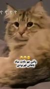 وقتی یهو یادت میاد باهاش قهر بودی