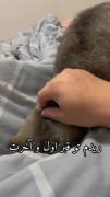 بهم دست نزن نازمم نکن عجب......