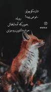 دخترانه ⚡️⚡️تو نگاه کن فقط لذت ببر