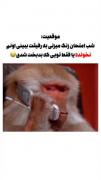 کیا اینجورین؟😅‌‌‌‌‌‌‌‌‌‌‌‌‌‌‌‌‌‌‌‌