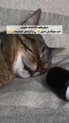 وایی ننه چه خروپفی میکنه 😂