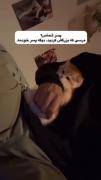 پسر شماس ؟ ...................
