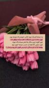 یه جمله قشنگ توئه کتاب خوندم که نوشته بود :