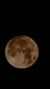 تو چی رو خیلی دوست داری ؟ ✨️🌙