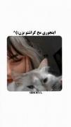 ایده برای مخ زنی کراشتون 🤤🍀 موفق باشین