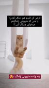 فرض کن قندم از زندگیت حذف کنی...