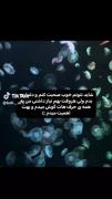 من خطاب به بست فرندم‌‌‌‌‌‌‌‌‌‌