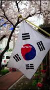 ولی کره خیلی وایب خوبی داره🇰🇷🧧
