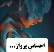 احساس پرواز تو خواب..~`°¿؛ ..!