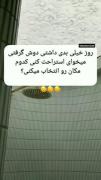 ویدیو غمگین ولی آرامش بخش 🖤✨✨