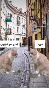 منم باید بزنم تو کار گدایی😔💅🏻