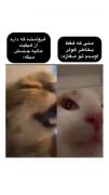  ‌ ‌ ‌ ‌ ‌ ‌ ‌ ‌ ‌ ‌ ‌ ‌ ‌ ‌ ‌ ‌