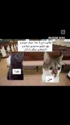 داداش یکم پول بفرست‌ ‌ ‌ ‌ ‌ ‌ ‌ 