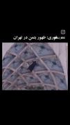 بتمنعلی در تهران😔‌ ‌ ‌ ‌ ‌ ‌ ‌ ‌ ‌ ‌