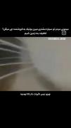 زمین میشیماا‌ ‌ ‌ ‌ ‌ ‌ ‌ ‌ ‌ ‌ ‌ ‌ 