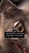 یکم اروم تر بدو رفیق😔‌ ‌ ‌ ‌ ‌ ‌‌ ‌