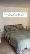 مامانییی😭😭‌ ‌ ‌ ‌ ‌ ‌ ‌ ‌ ‌ 