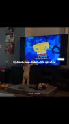 هنوزم ذوق میکنم:))‌ ‌ ‌ ‌ ‌ ‌ ‌‌ ‌ ‌ 