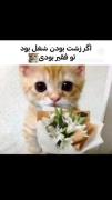 توفقیربودی🎀‌ ‌ ‌ ‌ ‌‌ ‌ ‌ ‌ ‌‌ ‌ ‌ ‌ ‌