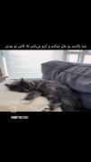 کاش تو بودی..‌ ‌‌ ‌‌ ‌ ‌ ‌ ‌‌ ‌ ‌ ‌ 