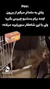 این چیه اخهههه😭‌ ‌ ‌ ‌‌ ‌ ‌ ‌ 