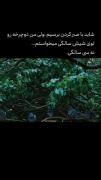 دارم از هم مى پاشم و گاهی وقتها فراموش میكنم