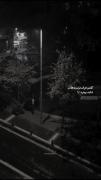 این تقصیر دلیه که نمیخواد ازت بکنه!