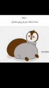 حق بخدا🥲🥺🫠🫠🫠😭😂😂😂😂😂😂😂😂😂😂✨♥️