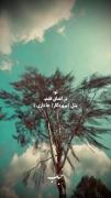 تو درون قلب من فرمانروایی و دگر مثلت نیست