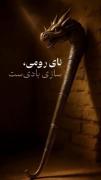 اما در کربلا برای چه استفاده شد😭
