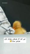 من که اینجوریم!😂 .