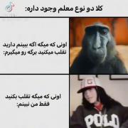هردو معلم رو دارم😂🦋 .