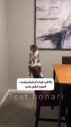 مود من..........................
