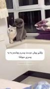 الففففاااااتتتتتححححهههههه😂😂😂😂😂