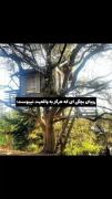 رویای بچگی:‌‌‌‌‌‌‌‌‌‌‌‌‌‌‌‌‌‌‌‌‌‌