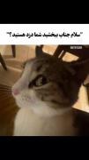 🐾 . 