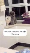 گیرت گوربا 😔🎀
