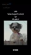 نه چطور مگه. ؟