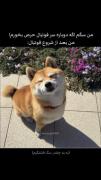 هعییی .
