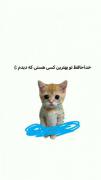 -تا‌آخر‌نگاه‌کنین‌🎀🧃👼🏿💗✨️🤌🏿💞✅️🫂🐈🐾🫠