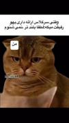 -واکنش‌من‌دیدنیه🎀✨️💗✅️🤣💅🏻😔😂👼🏿🤌🏿💞🧃