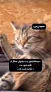 -همچنان‌مننننن💗💞👼🏿🎀✨️🤌🏿💅🏻💘😂😔🧃✅️🌝🤣🎨