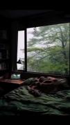 کدوم مکانو برای آرامش انتخاب میکنی ؟ 