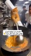 Pov: اعصاب من به روایت تصویر 🤦🏻‍♀️🤣