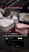نه ببین اونا فقط سردارو میزنن و به مردم عادی کاری ندارن🖤 
