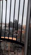 عاشق بارونم :) بوی نَمش ،صداش،خنکیش،خیس شدنش :)