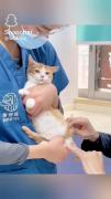 😂🥹🐈‌‍‌‌‍‍‍‍‍‍‍‍‍‍‍‍‍‍‍‍‍‍‍‍‍