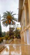باغ زیبای ارم در روز های پاییزی شیراز🏡